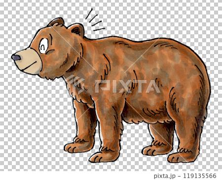 快樂的棕熊 119135566