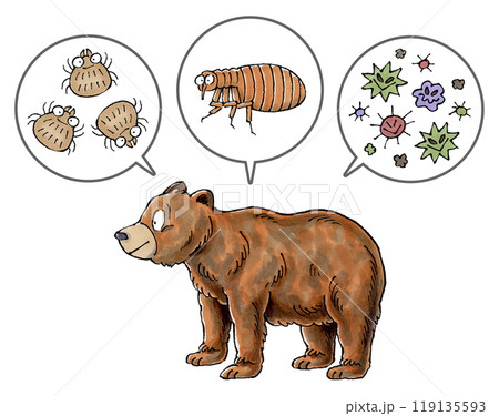 ヒグマと寄生虫(ダニ、ノミ、病原菌) 119135593