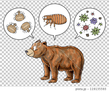 ヒグマと寄生虫(ダニ、ノミ、病原菌) 119135593