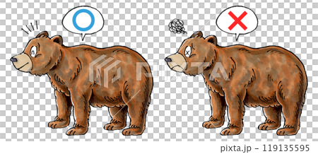 Judgment Brown Bear Set (True or False) 119135595