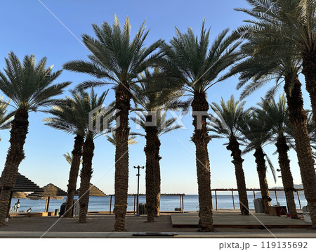 View of the Red Sea beach in Eilat 119135692
