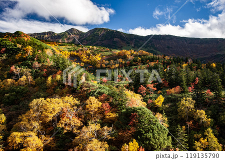 絶景の十勝岳の紅葉 119135790