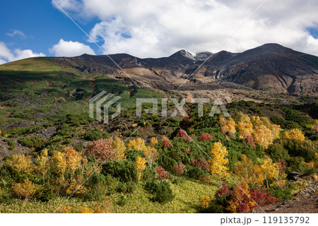 絶景の十勝岳の紅葉 絶景の十勝岳の紅葉 119135792