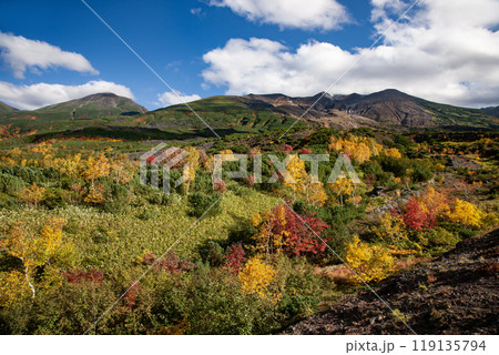 絶景の十勝岳の紅葉 絶景の十勝岳の紅葉 119135794