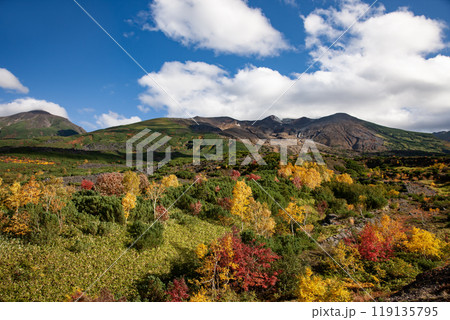 絶景の十勝岳の紅葉 絶景の十勝岳の紅葉 119135795