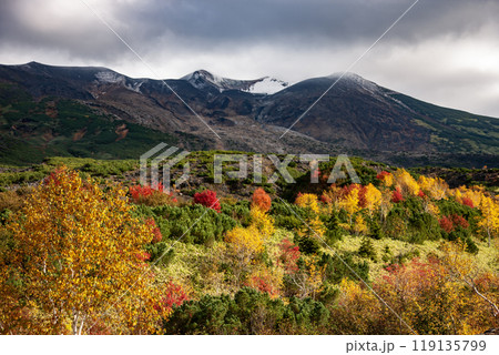 絶景の十勝岳の紅葉 絶景の十勝岳の紅葉 119135799