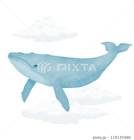 Blue whale flying in the sky with fluffy white clouds watercolor digital illustration for printing and web	 119135980