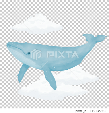 Blue whale flying in the sky with fluffy white clouds watercolor digital illustration for printing and web	 119135980