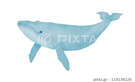 Blue whale smiling character children's drawing digital watercolor illustration for printing and web	 119136226