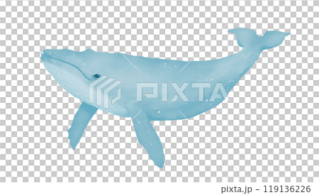 Blue whale smiling character children's drawing digital watercolor illustration for printing and web	 119136226