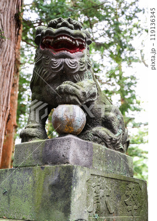 八幡宮の狛犬（右） 119136345