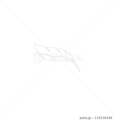 feather logo 119136389