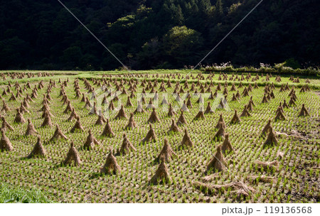 藁束・藁塚、稲刈り後の田んぼ　田園風景秋、広島県庄原市比和町 119136568