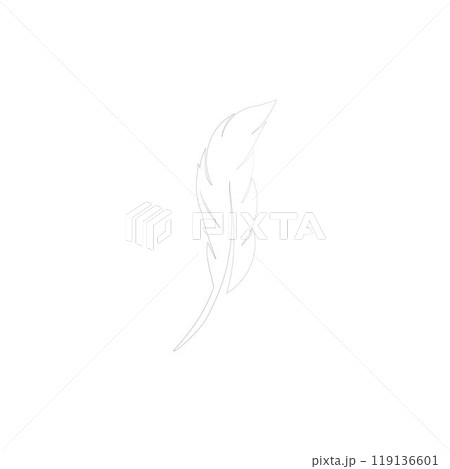 feather logo 119136601