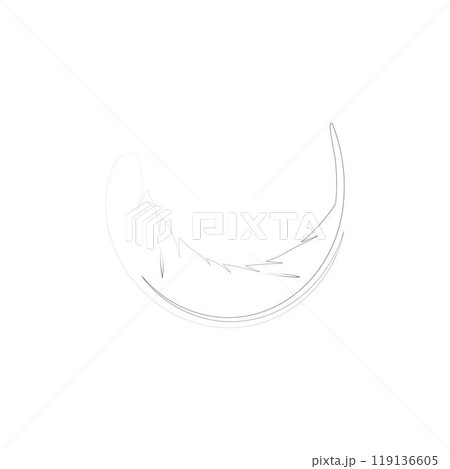 feather logo feather logo 119136605