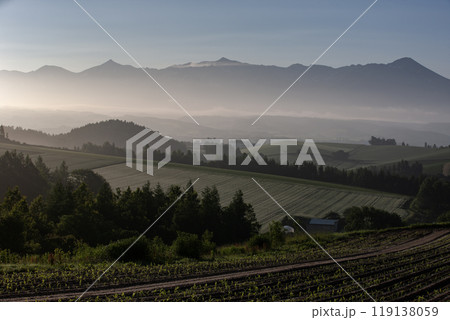 早春の美しい丘 早春の美しい丘 119138059