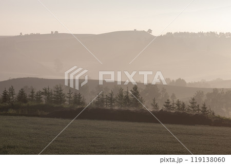 早春の美しい丘 早春の美しい丘 119138060