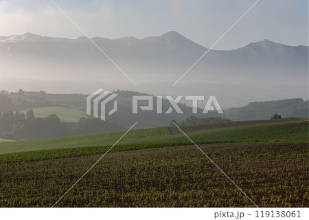 早春の美しい丘 早春の美しい丘 119138061