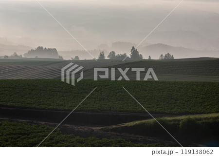 早春の美しい丘 早春の美しい丘 119138062