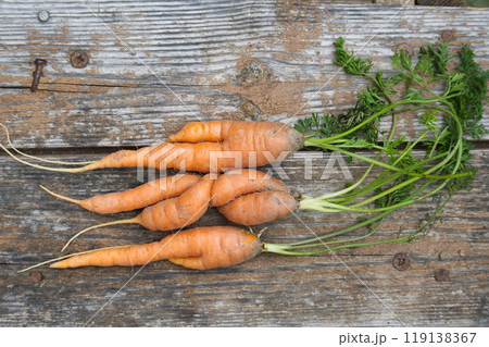 Fresh organic carrots displayed on a rustic wooden surface, representing home-grown produce Fresh organic carrots displayed on a rustic wooden surface, representing home-grown produce 119138367