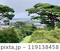 美しい日本三景の松原 119138458