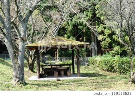 苔むした東屋 苔むした東屋 119138622