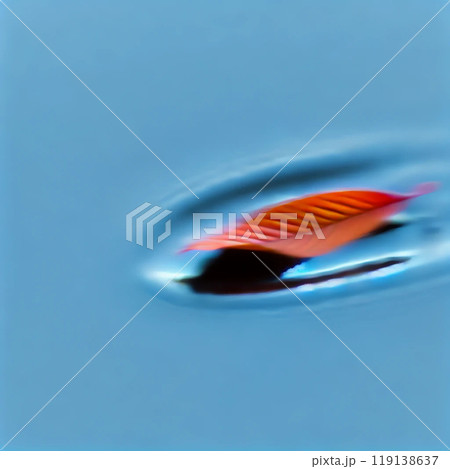 水を垂らした葉っぱ 119138637