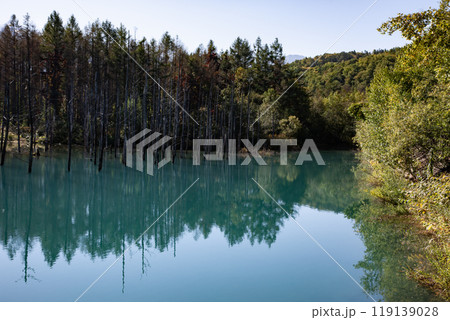一番青く見える秋の青い池 119139028