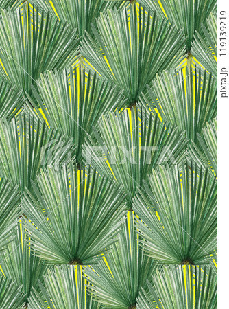 Palm leaf hand painted watercolor dense seamless pattern on yellow background. High quality image perfect for cards, posters, stickers, eco materials, Christmas decoration design. Exotic plants clip 119139219