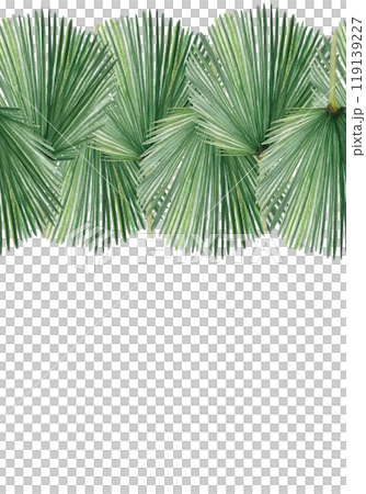 Palm leaf hand painted watercolor vertical card isolated on white. High quality image perfect for cards, posters, stickers, eco materials, Christmas decoration design. Exotic clip art. Seamless border 119139227