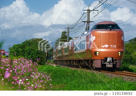 新型やくも　秋 119139692