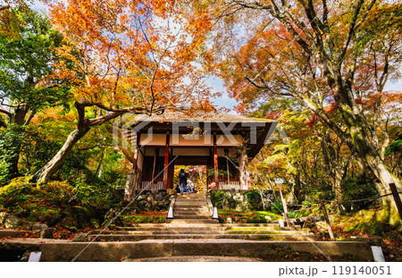 秋の京都 常寂光寺 仁王門 秋の京都 常寂光寺 仁王門 119140051