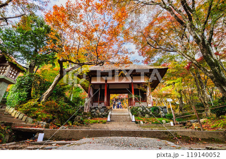 秋の京都　常寂光寺　仁王門 119140052