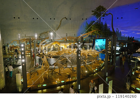 福井県恐竜博物館 リニューアル展示風景 福井県恐竜博物館 リニューアル展示風景 119140260