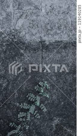 Grungy wall with grime and moss. Scene is dark and creepy Grungy wall with grime and moss. Scene is dark and creepy 119140285