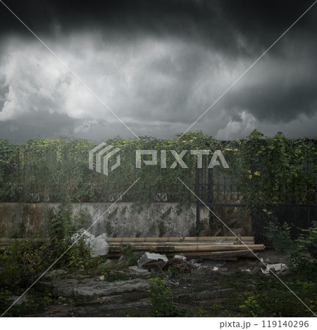 A green vines plant is growing on fence with cloudy and dark sky. Scene is dark and creepy. Dramatic smoke or fog effect. Mockup. Copy Space 119140296
