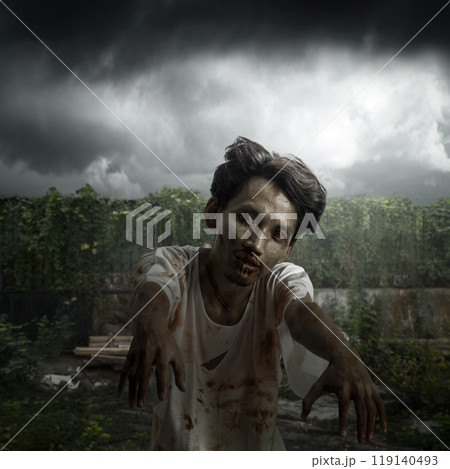 Zombie with bloody wound standing with moonlight background. Scene is scary and creepy 119140493