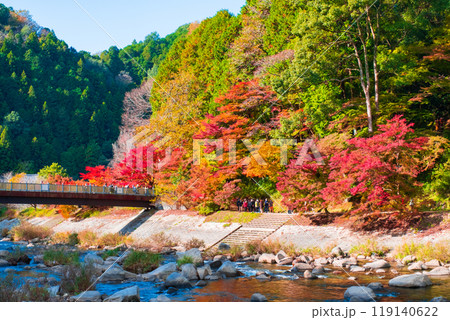 香嵐渓(秋) 香嵐渓(秋) 119140622