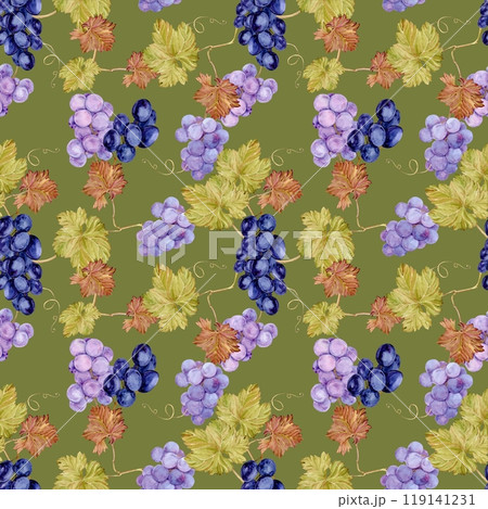 Seamless background with grapevine. Watercolor lilac and dark blue, black autumn grape berries, leaves and vine. Illustrations for wine label design, grape juice, and for grape festival decoration. Seamless background with grapevine. Watercolor lilac and dark blue, black autumn grape berries, leaves and vine. Illustrations for wine label design, grape juice, and for grape festival decoration. 119141231