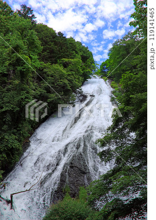 奥日光初夏の緑豊かな高原の風景 奥日光初夏の緑豊かな高原の風景 119141465