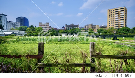 国立台湾大学・農業試験場（台湾・台北市大安区） 119141695