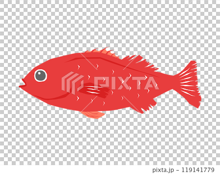 高檔魚手繪金鯛魚 119141779