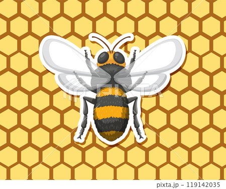 Honey Bee on Honeycomb Background Honey Bee on Honeycomb Background 119142035