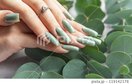 Elegant hands with green nails resting among lush eucalyptus leaves in a serene setting Elegant hands with green nails resting among lush eucalyptus leaves in a serene setting 119142178
