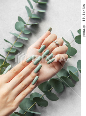 Elegant green manicure with long nails surrounded by eucalyptus leaves in a minimalist setting Elegant green manicure with long nails surrounded by eucalyptus leaves in a minimalist setting 119142180