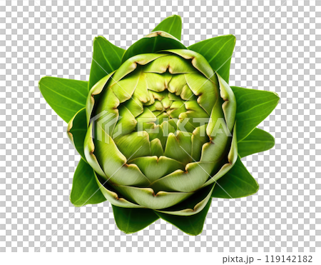Artichoke Artichoke 119142182