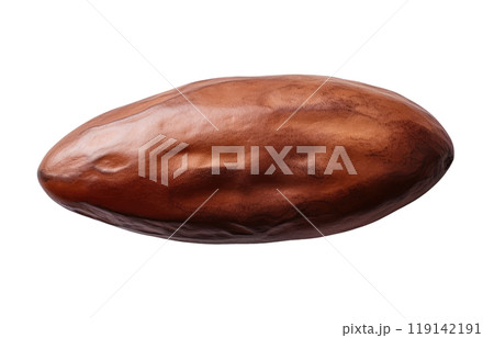 Cocoa Bean 119142191
