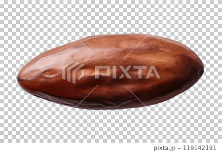 Cocoa Bean 119142191