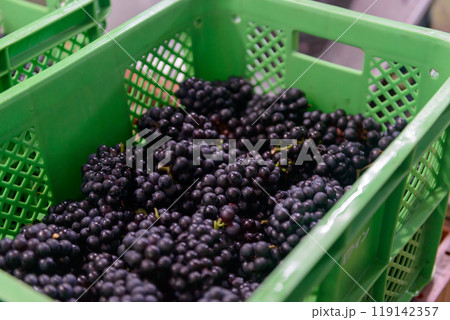 ぶどう、葡萄、ブドウ ぶどう、葡萄、ブドウ 119142357