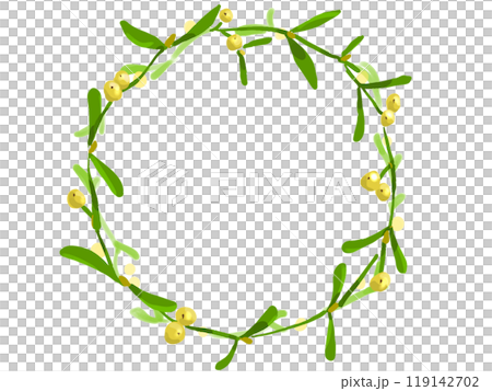 ヤドリギ 119142702